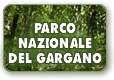 Il Parco Nazionale del Gargano sceglie Progetti di Impresa
